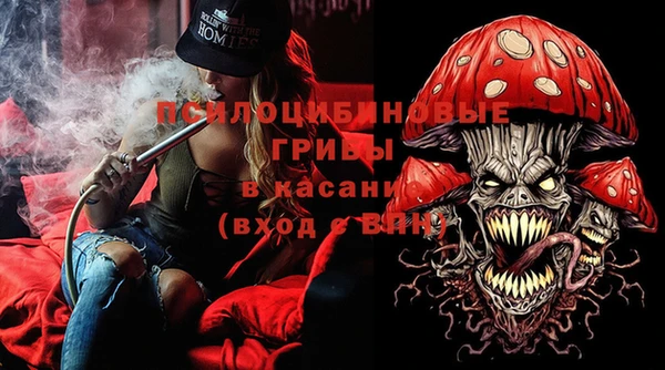 твердый Покачи