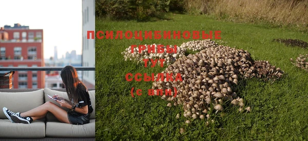 винт Покров