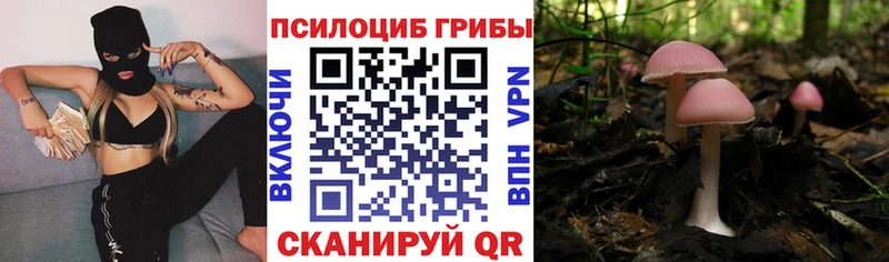 Псилоцибиновые грибы Magic Shrooms  Улан-Удэ 