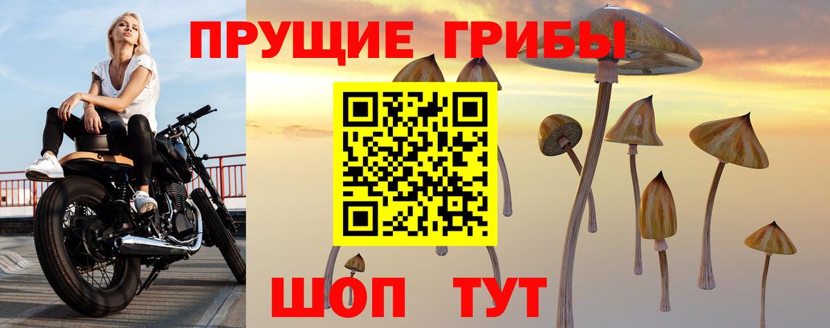 Галлюциногенные грибы прущие грибы Улан-Удэ