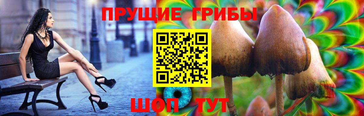 Улан-Удэ  купить наркоту  Вход с VPN  Псилоцибиновые грибы Magic Shrooms 